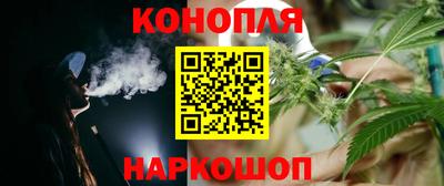 шишки Апшеронск