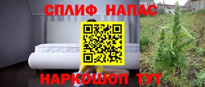 шишки Апшеронск