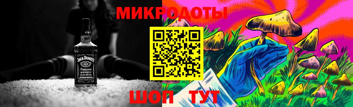 Псилоцибиновые грибы Psilocybe Бугуруслан